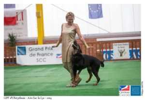 dog dancing