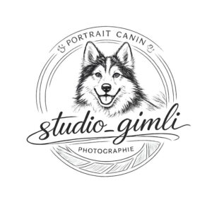 Studio Gimli